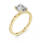 Engagement Diamond Ring - SB-9-32