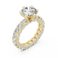 Princess Full Round Bordered Diamond Ring - SB-9-49